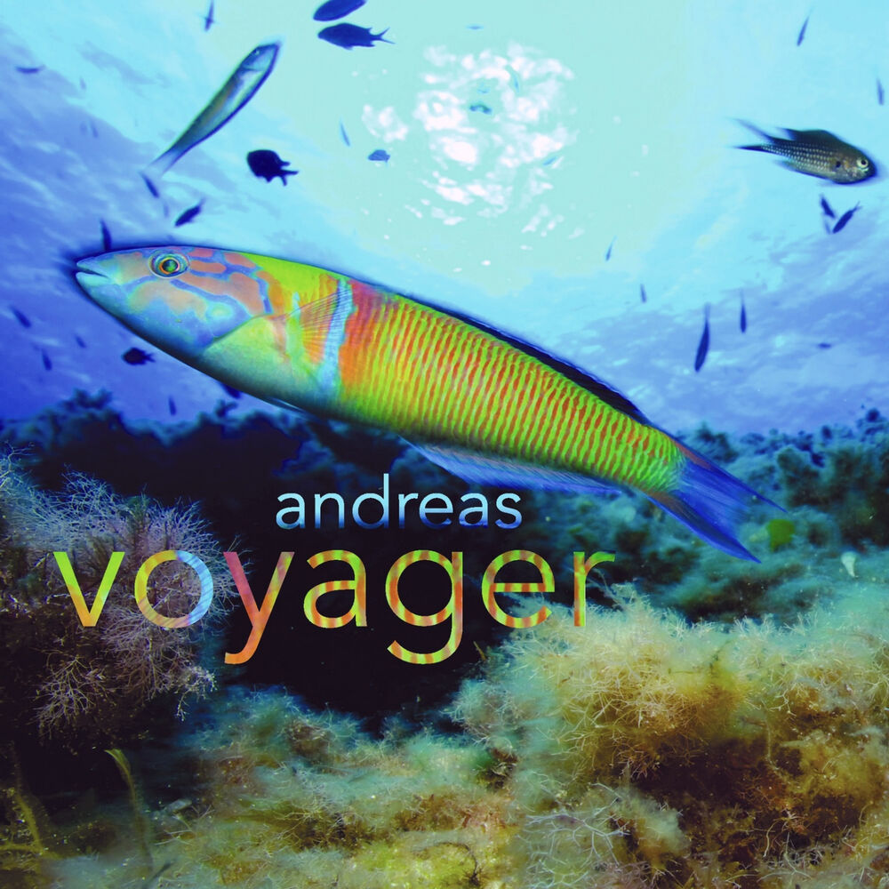 Picture of Voyager