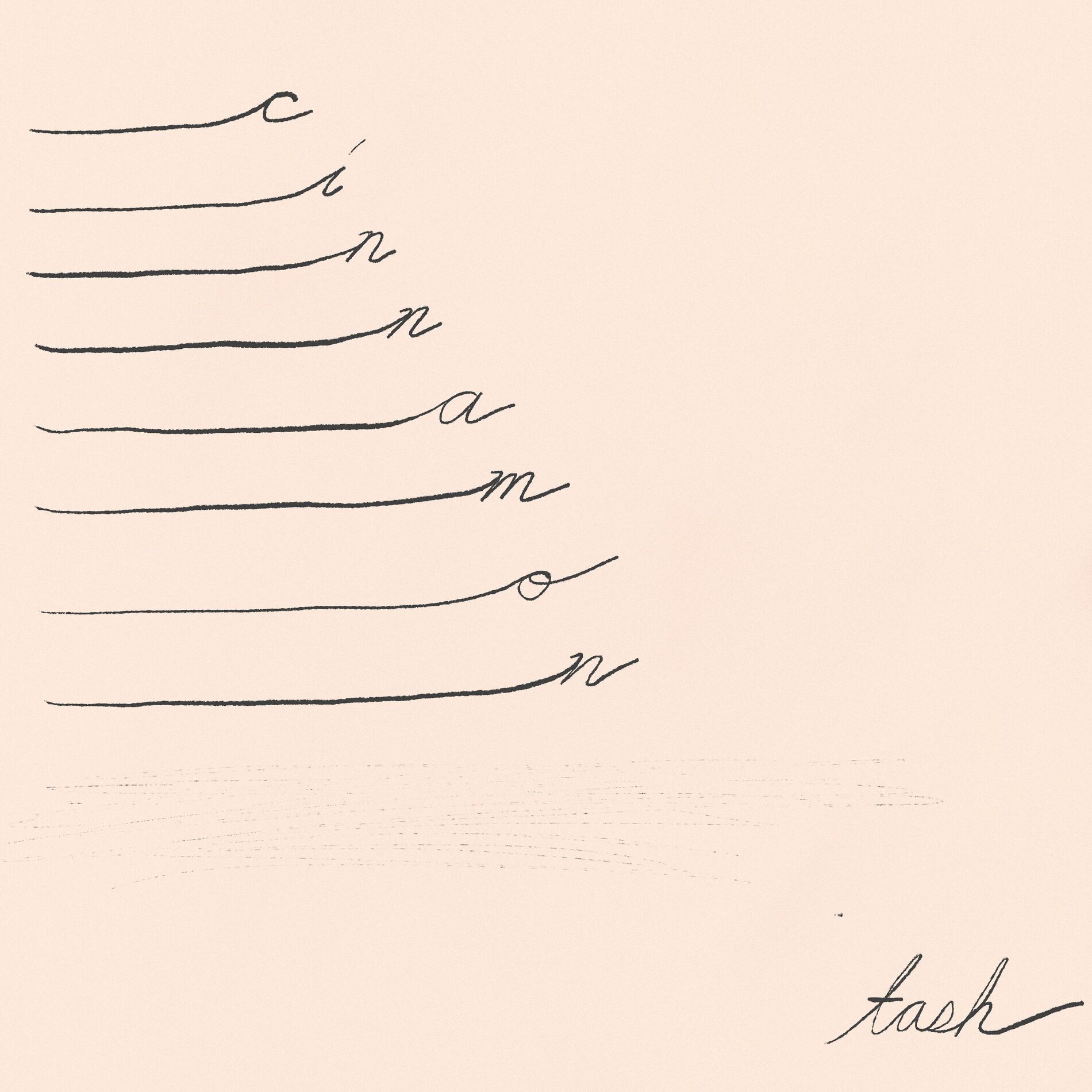 Album cover of Cinnamon