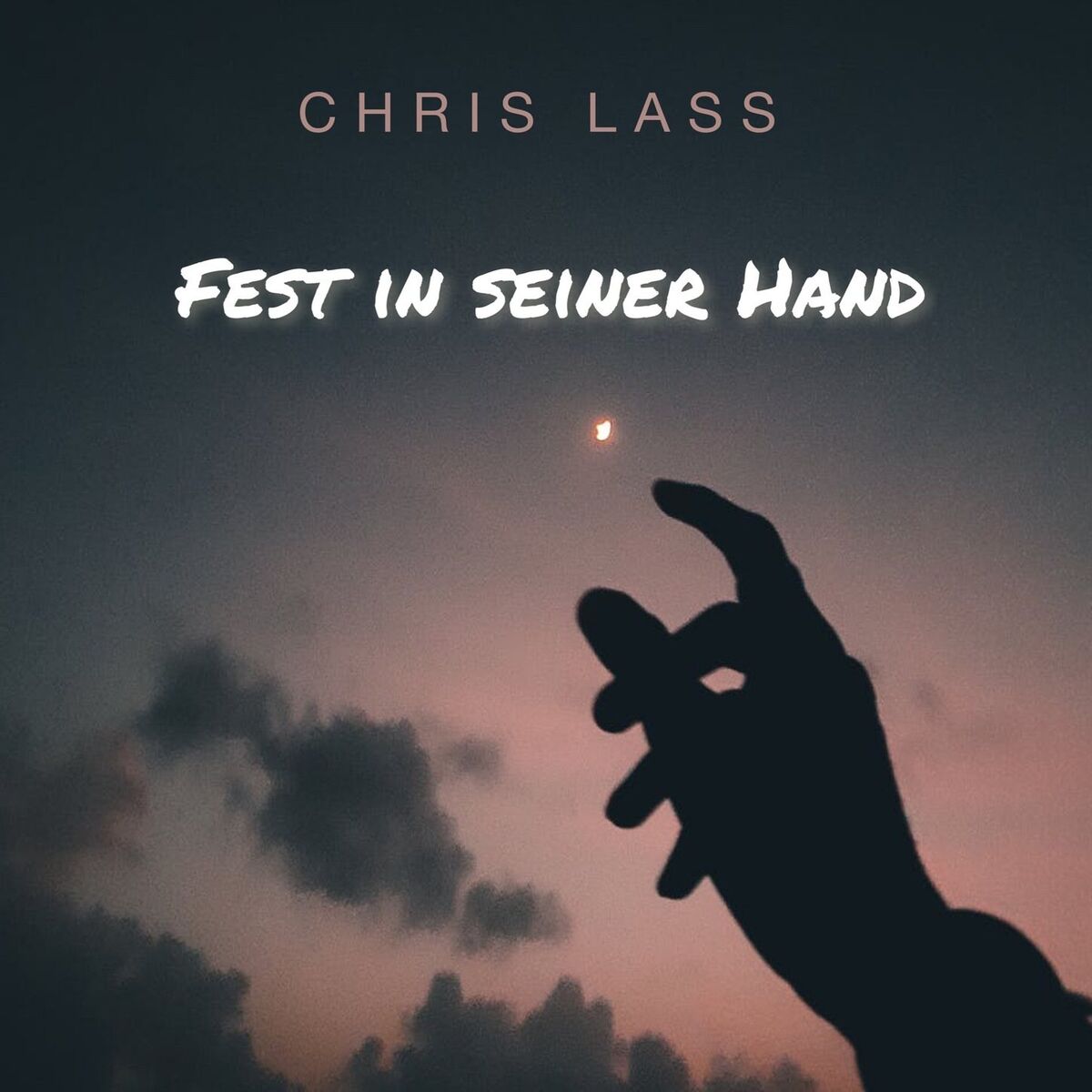 Album cover of Fest in seiner Hand
