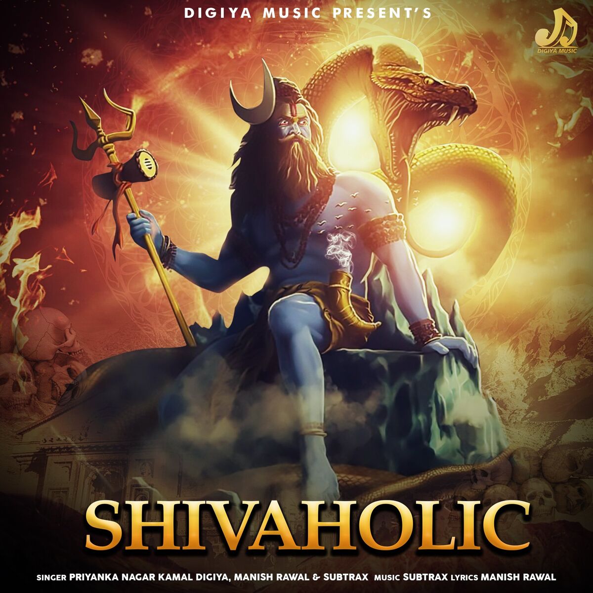 Album cover of Shivaholic