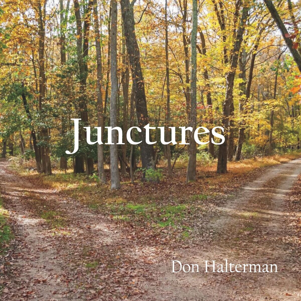 Album cover of Junctures