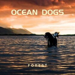 Cover of Ocean Dogs