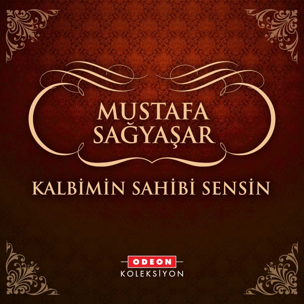 Album cover of Çırpınırdı Karadeniz