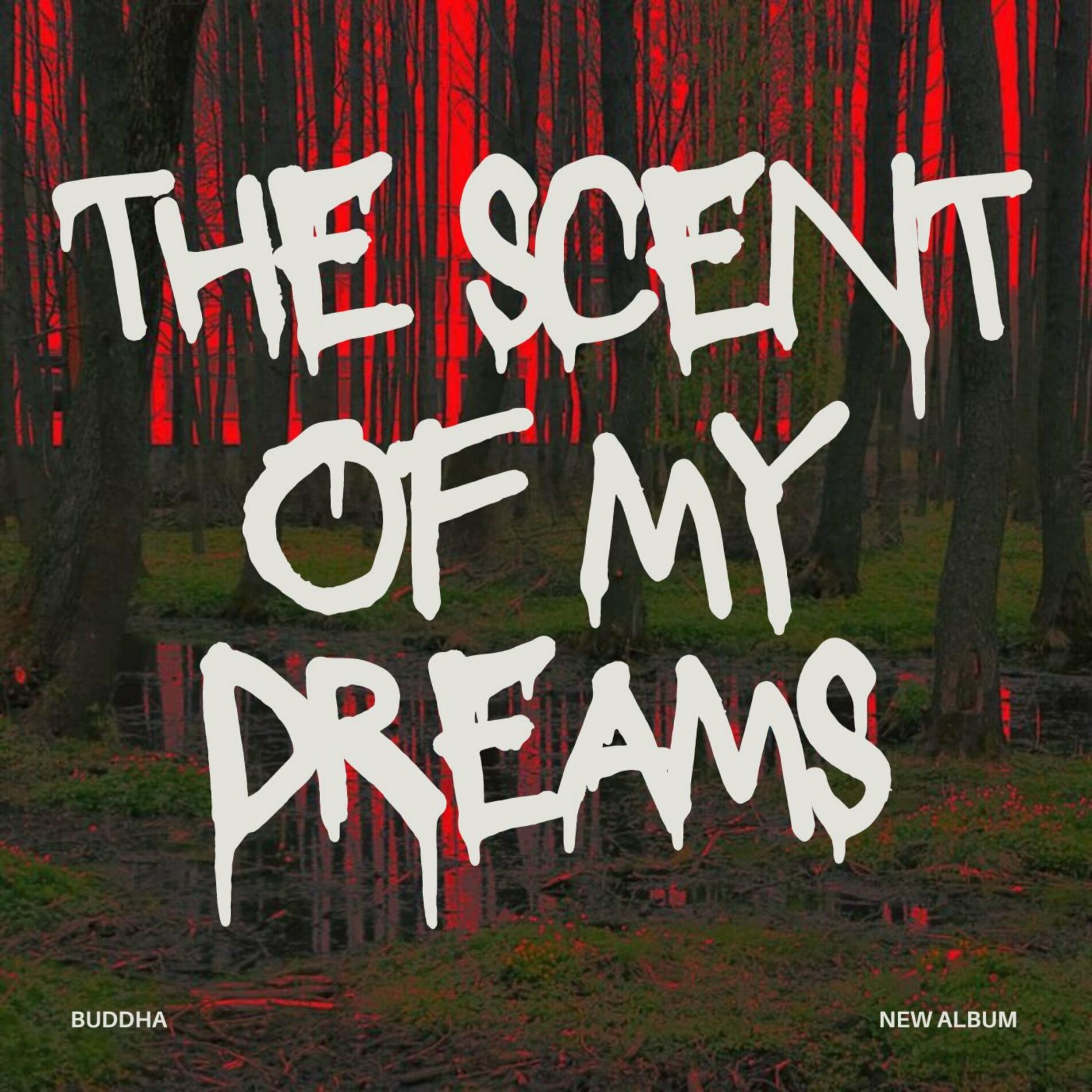 Album cover of The Scent Of My Dreams