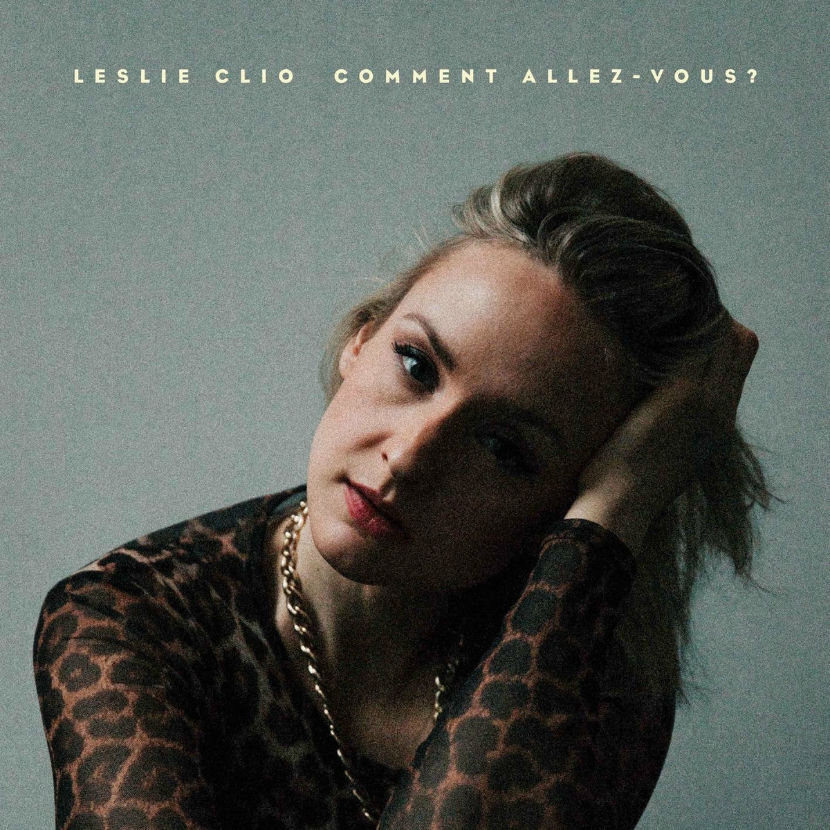 Album cover of Comment Allez-Vous?