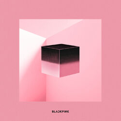 Cover of SQUARE UP