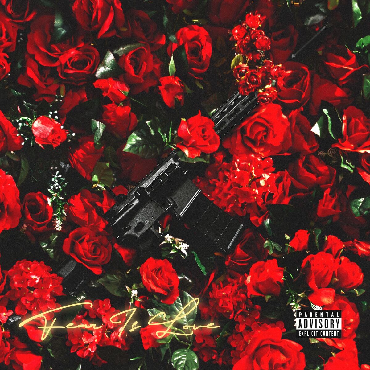 Album cover of FEAR IS LOVE