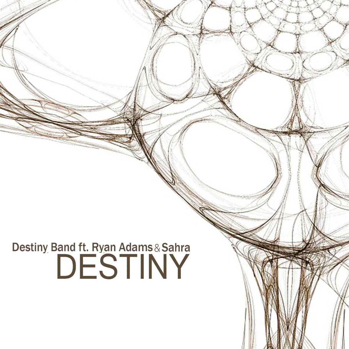 Album cover of Destiny