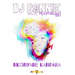 Cover of Nkonyane Kandaba