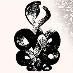 Cover of Bardo Pond, Vol. 4