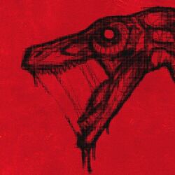 Cover of RAPAX