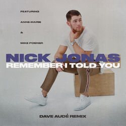 Cover of Remember I Told You (Dave Audé Remix)