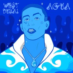 Cover of Agua