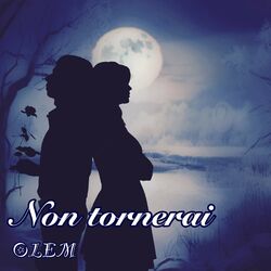 Cover of Non tornerai