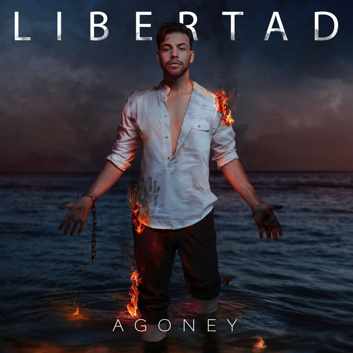 Album cover of Perficción