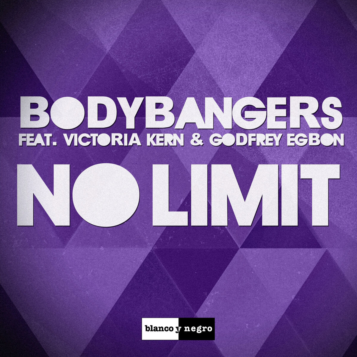 Album cover of No Limit