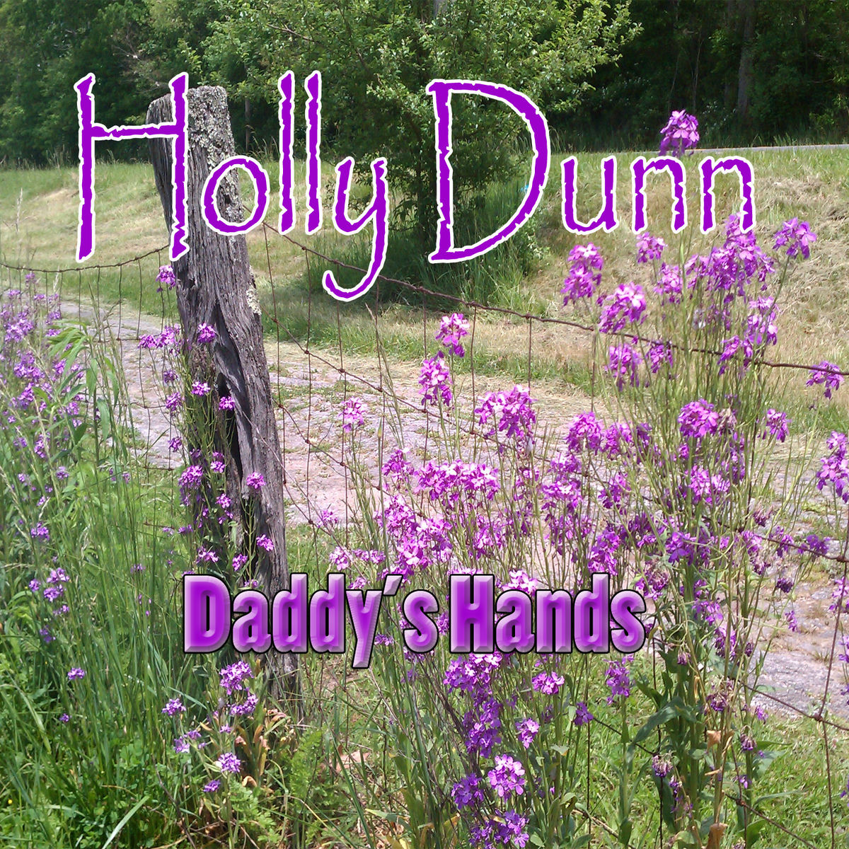 Album cover of Daddy's Hands
