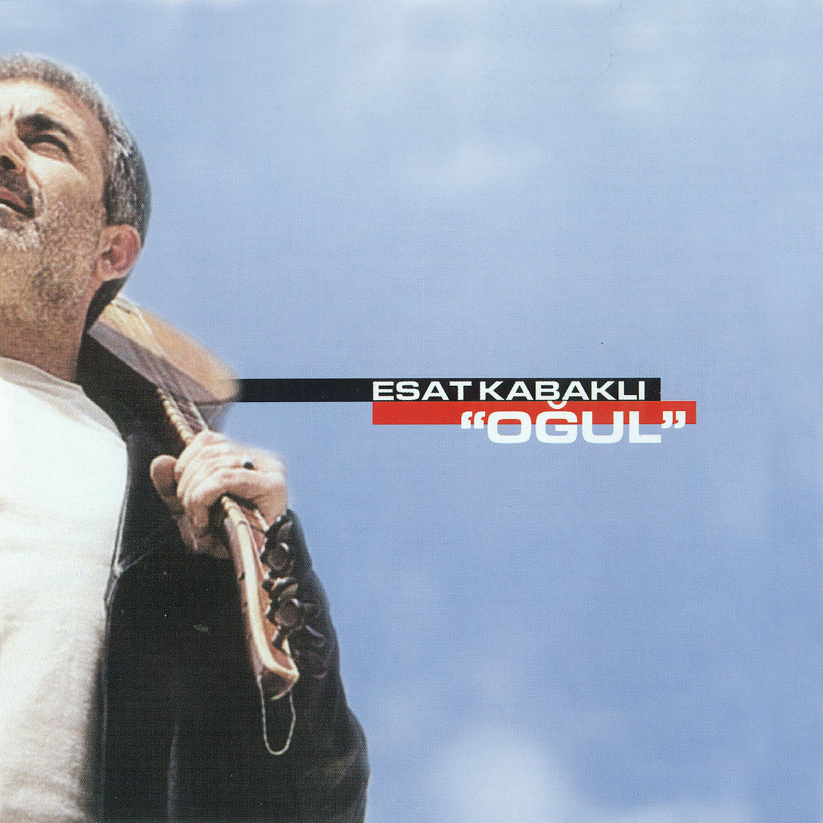 Album cover of Oğul