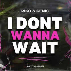 Cover of I Dont Wanna Wait