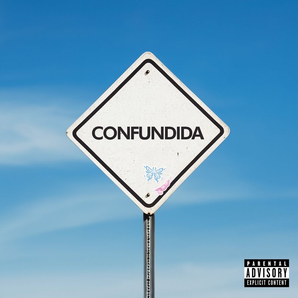 Picture of Confundida
