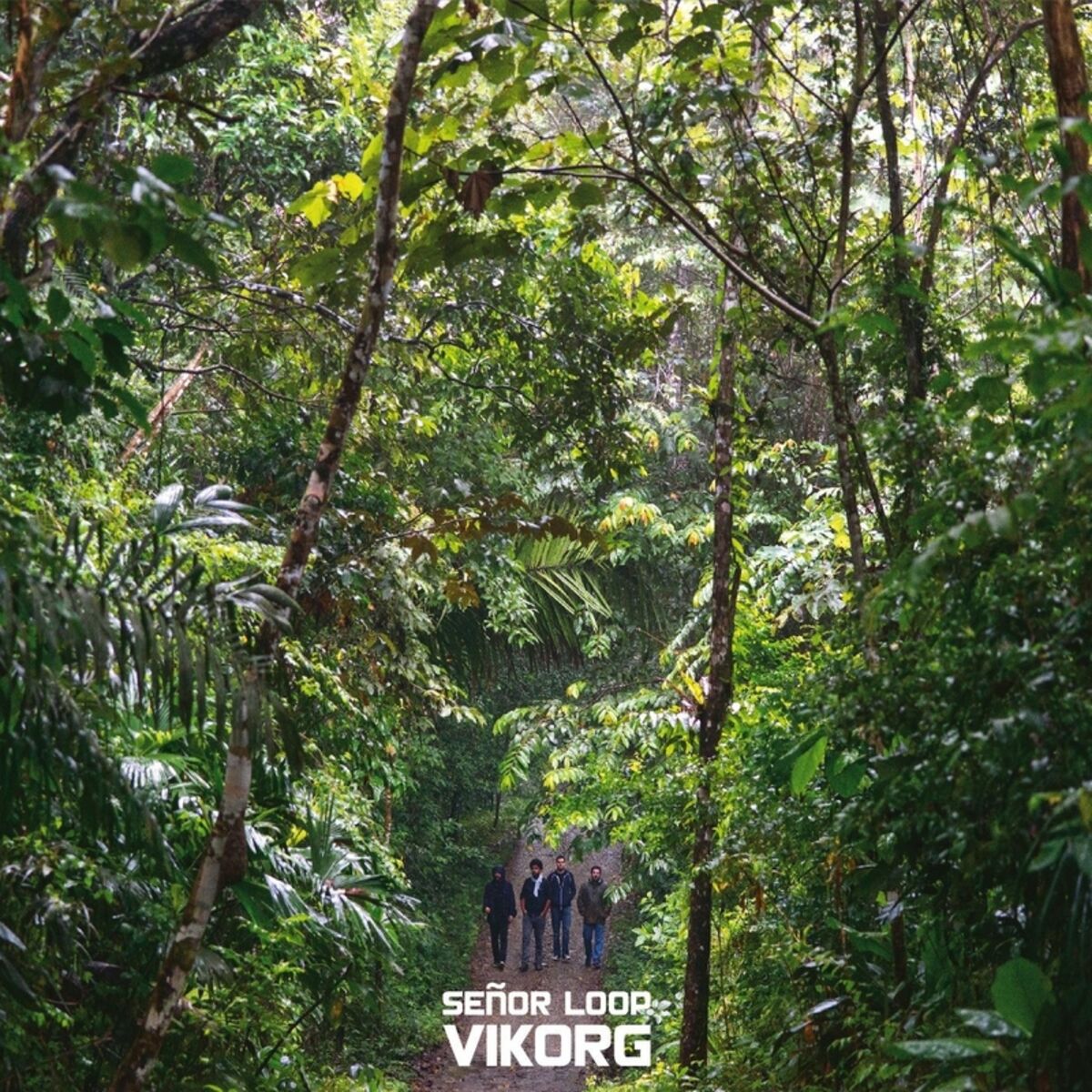 Album cover of Vikorg