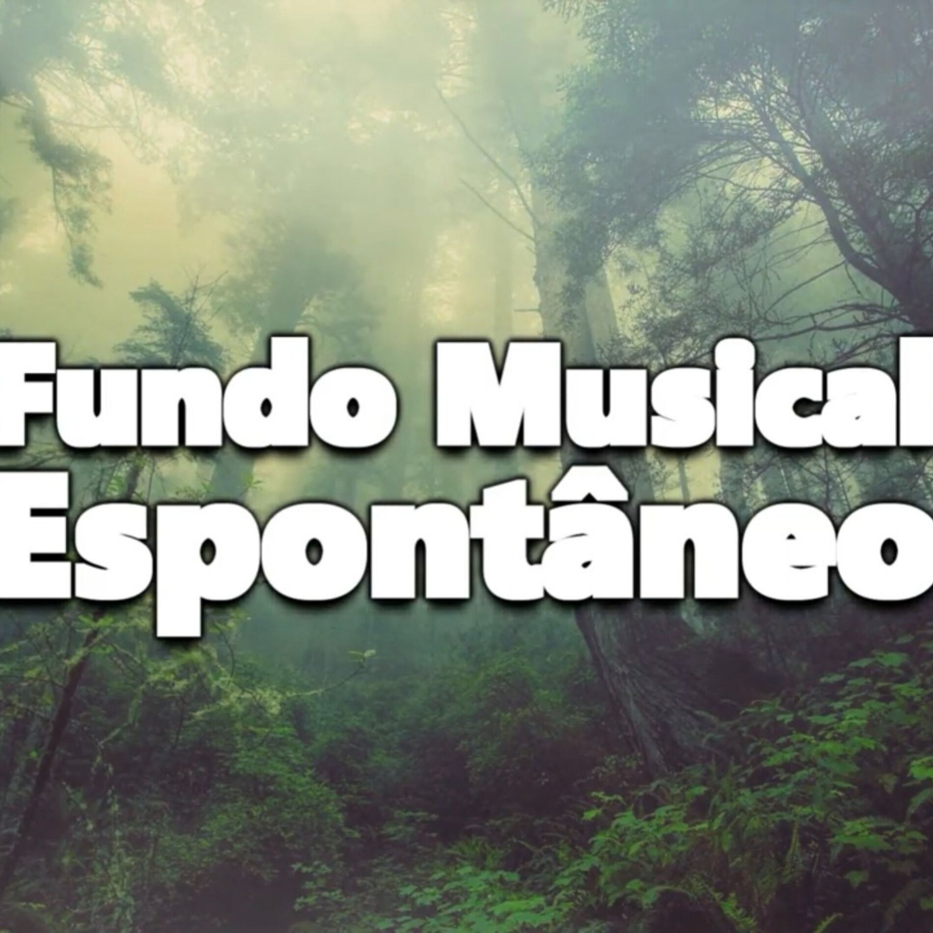 Album cover of Fundo Musical Espontâneo