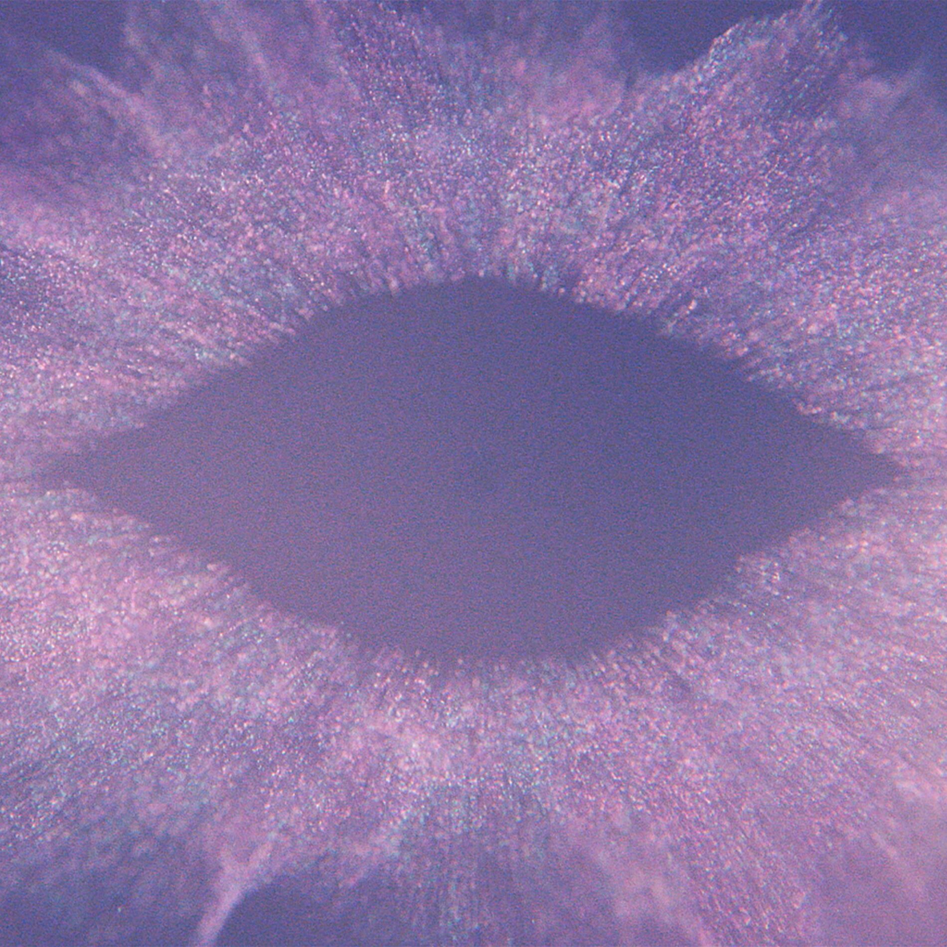 Album cover of Music For Psychedelic Therapy (Excerpt)