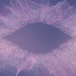 Cover of Music For Psychedelic Therapy (Excerpt)