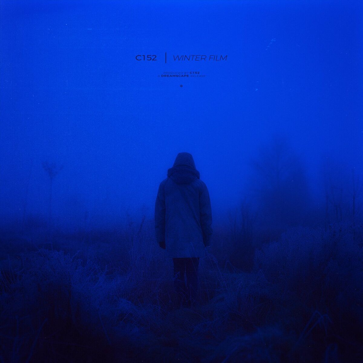 Album cover of winter film
