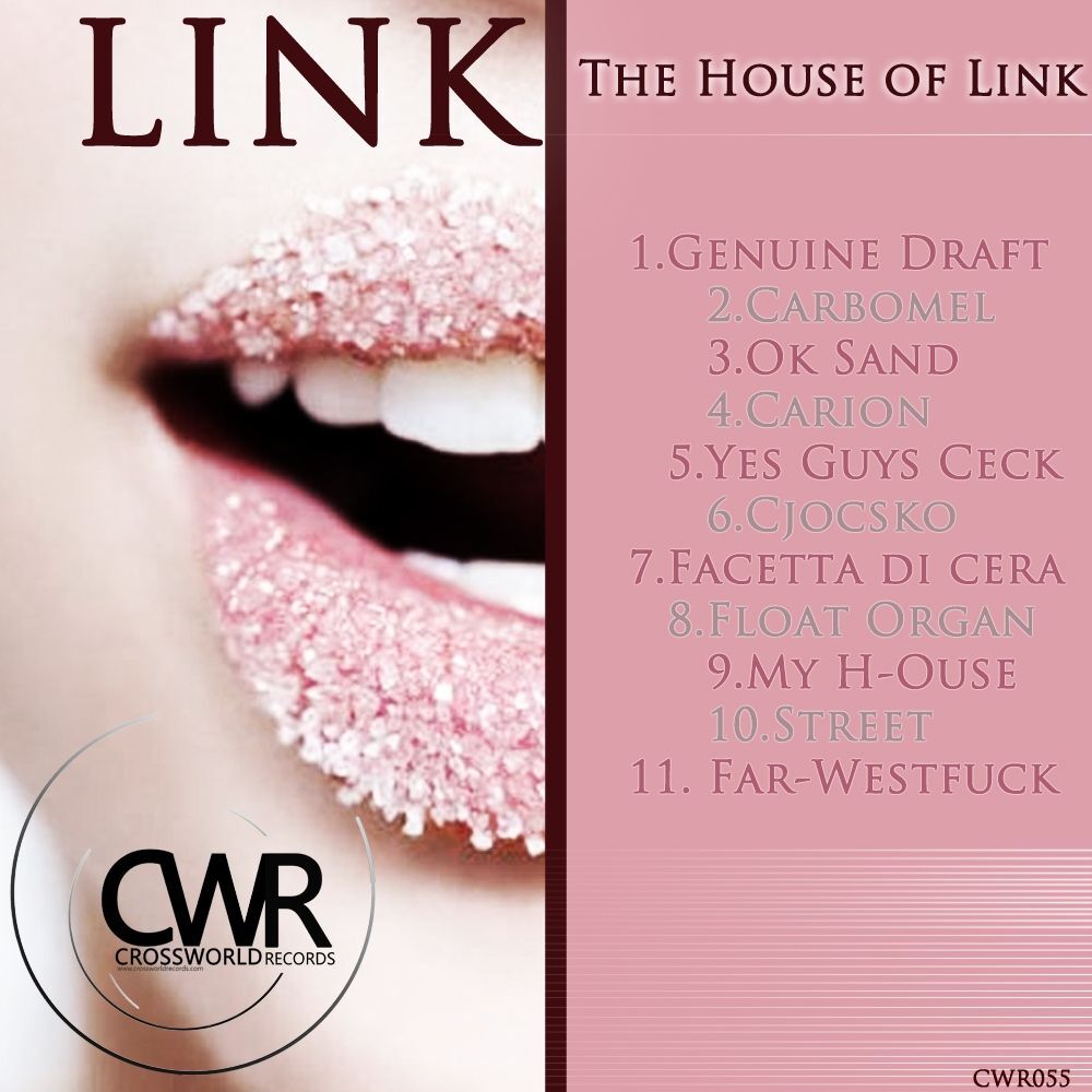 Picture of The House of Link