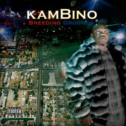 Cover of Breeding Grounds