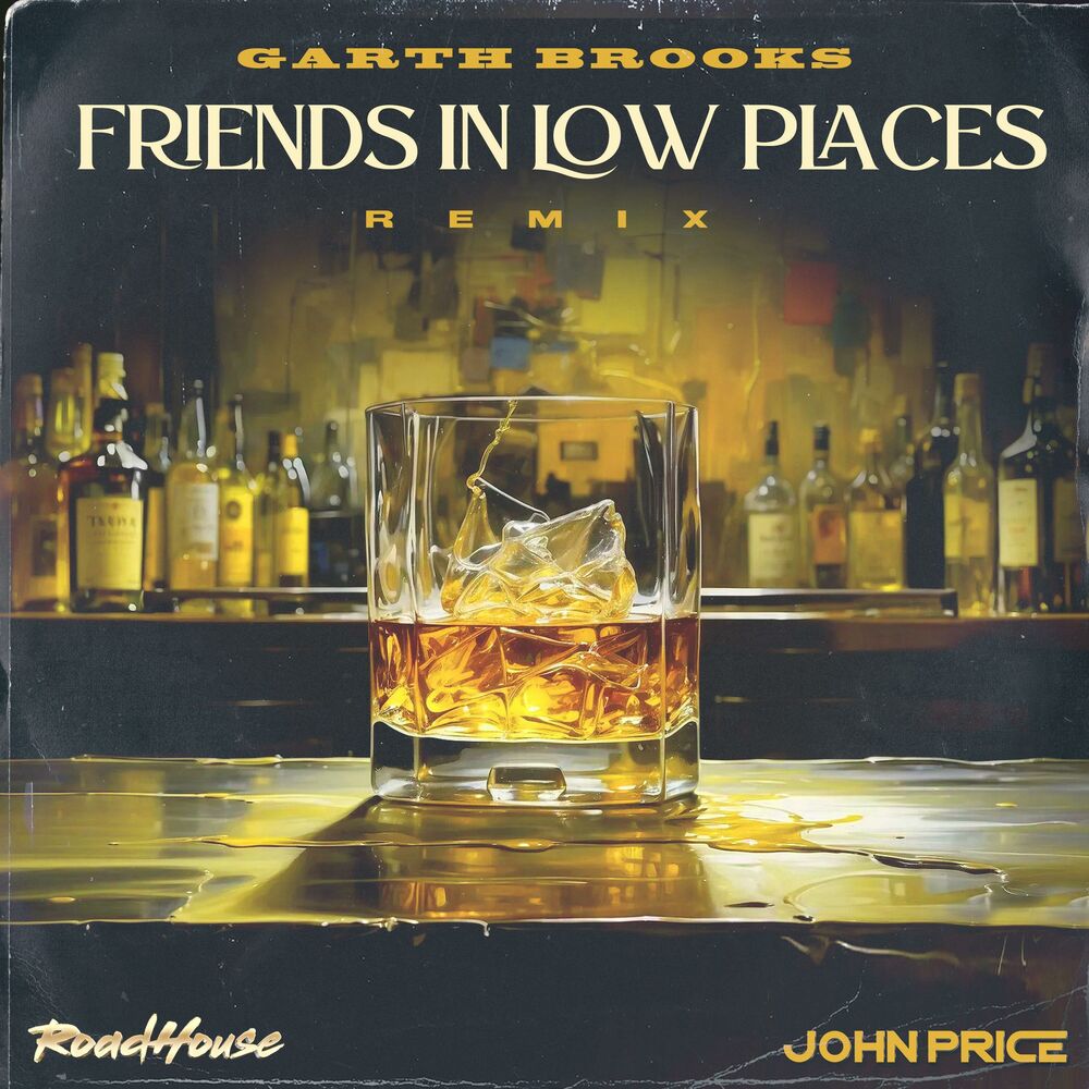 Picture of Friends In Low Places (Garth Brooks Remix)