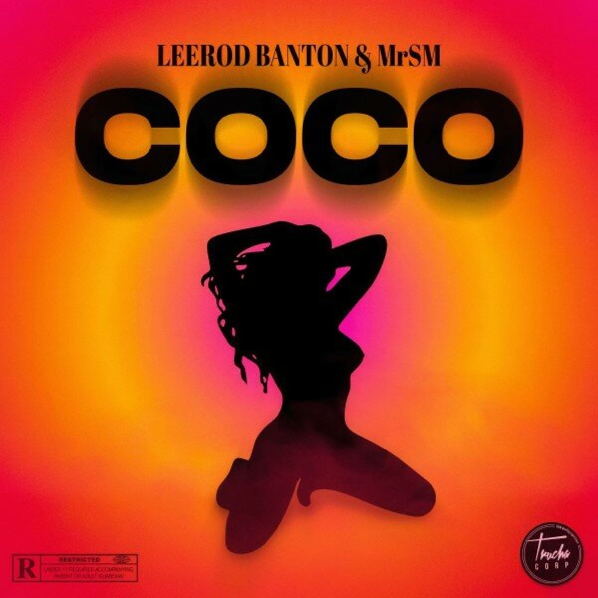 Album cover of Coco