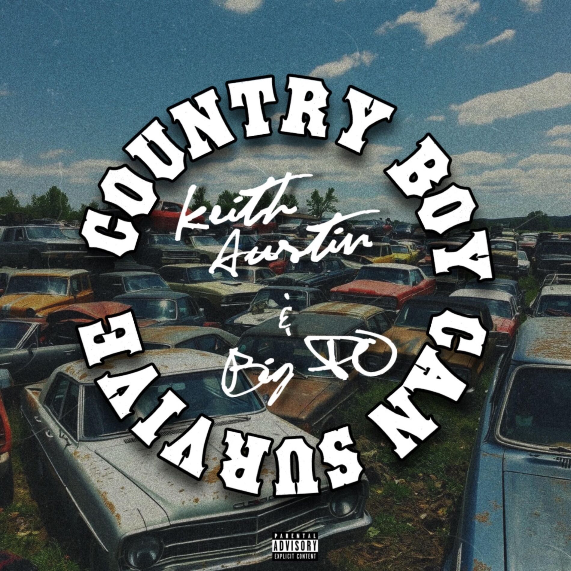 Album cover of Country Boy Can Survive (feat. Big PO)