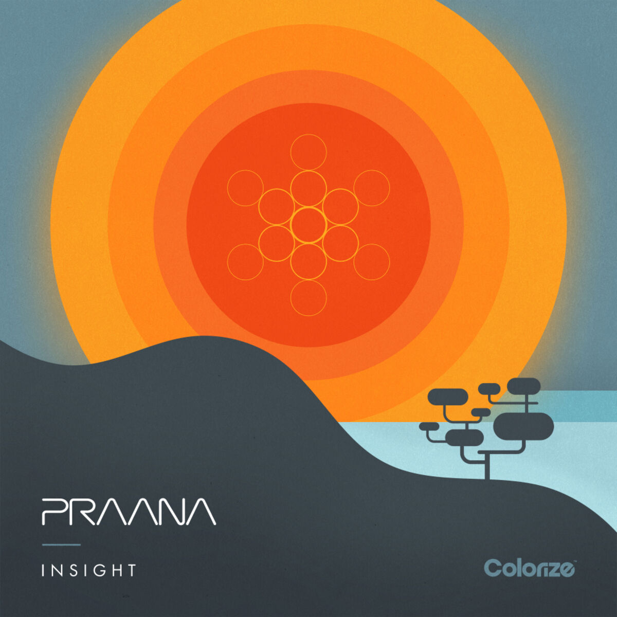 Album cover of Insight