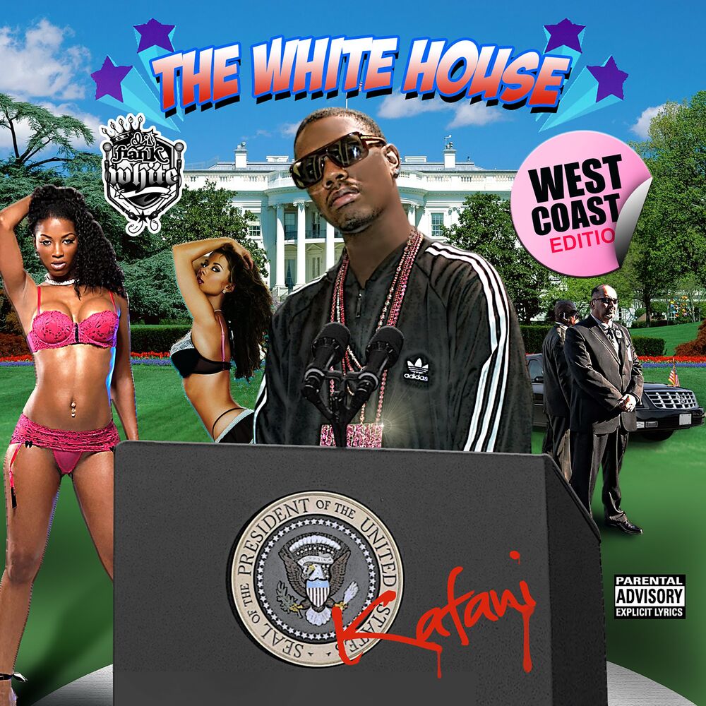 Picture of The White House (Mixed)