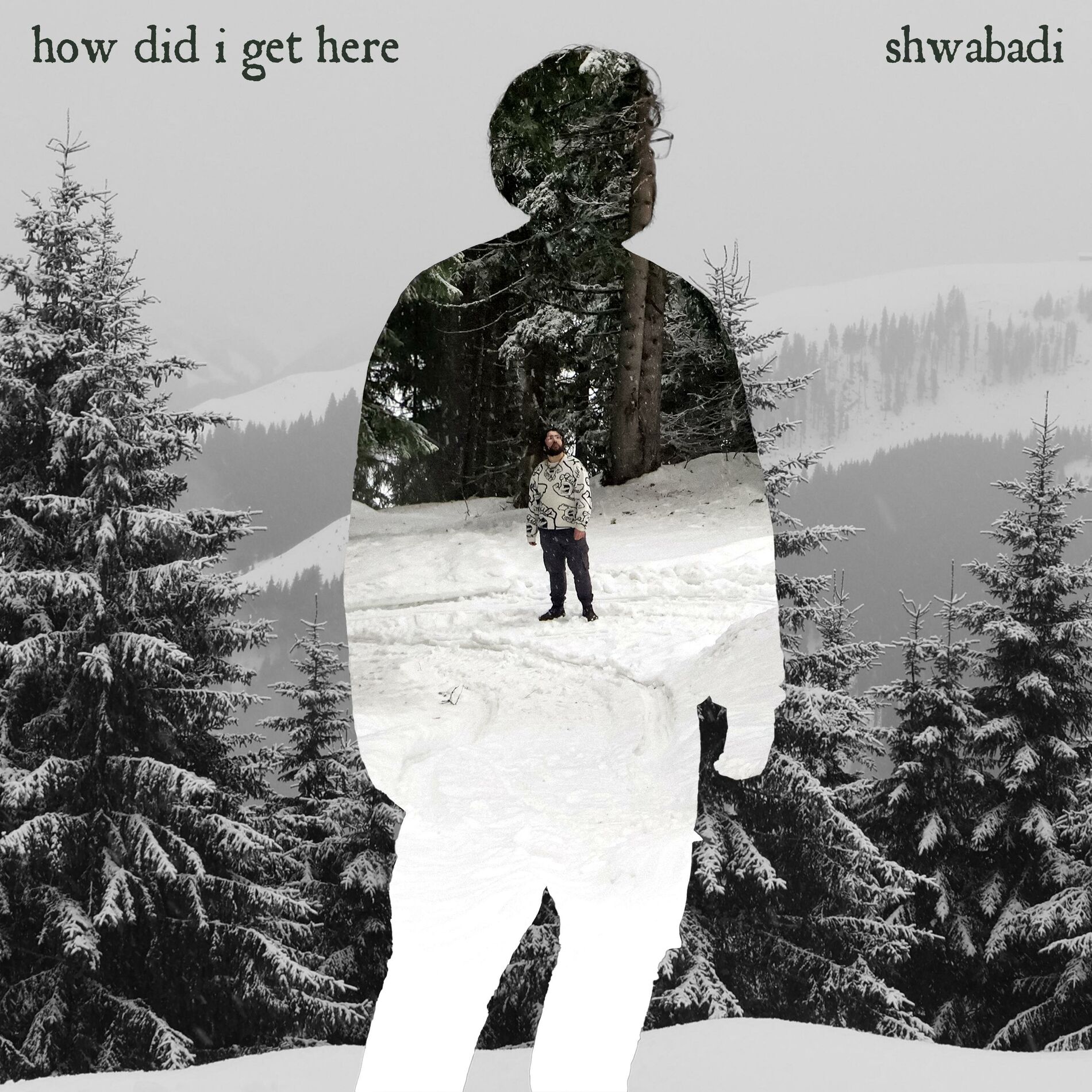 Album cover of How Did I Get Here