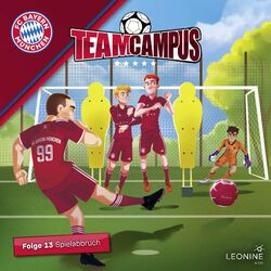 Cover of Folge 13: Spielabbruch