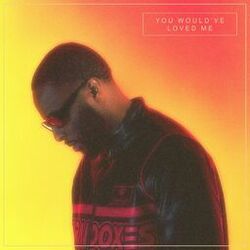 Cover of You Would’ve Loved Me