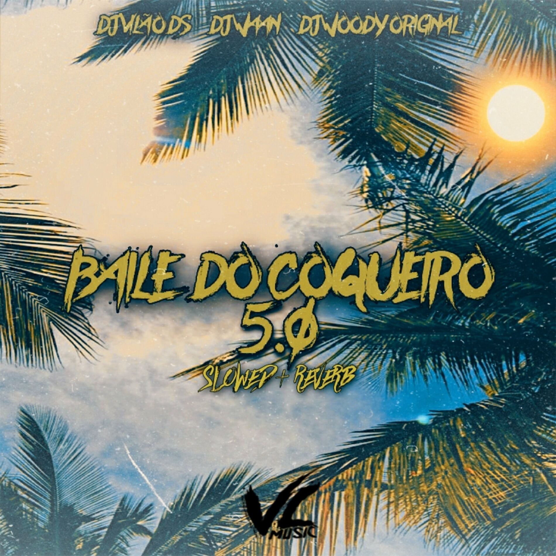 Album cover of Baile do Coqueiro 5. 0 [Slowed Reverb]