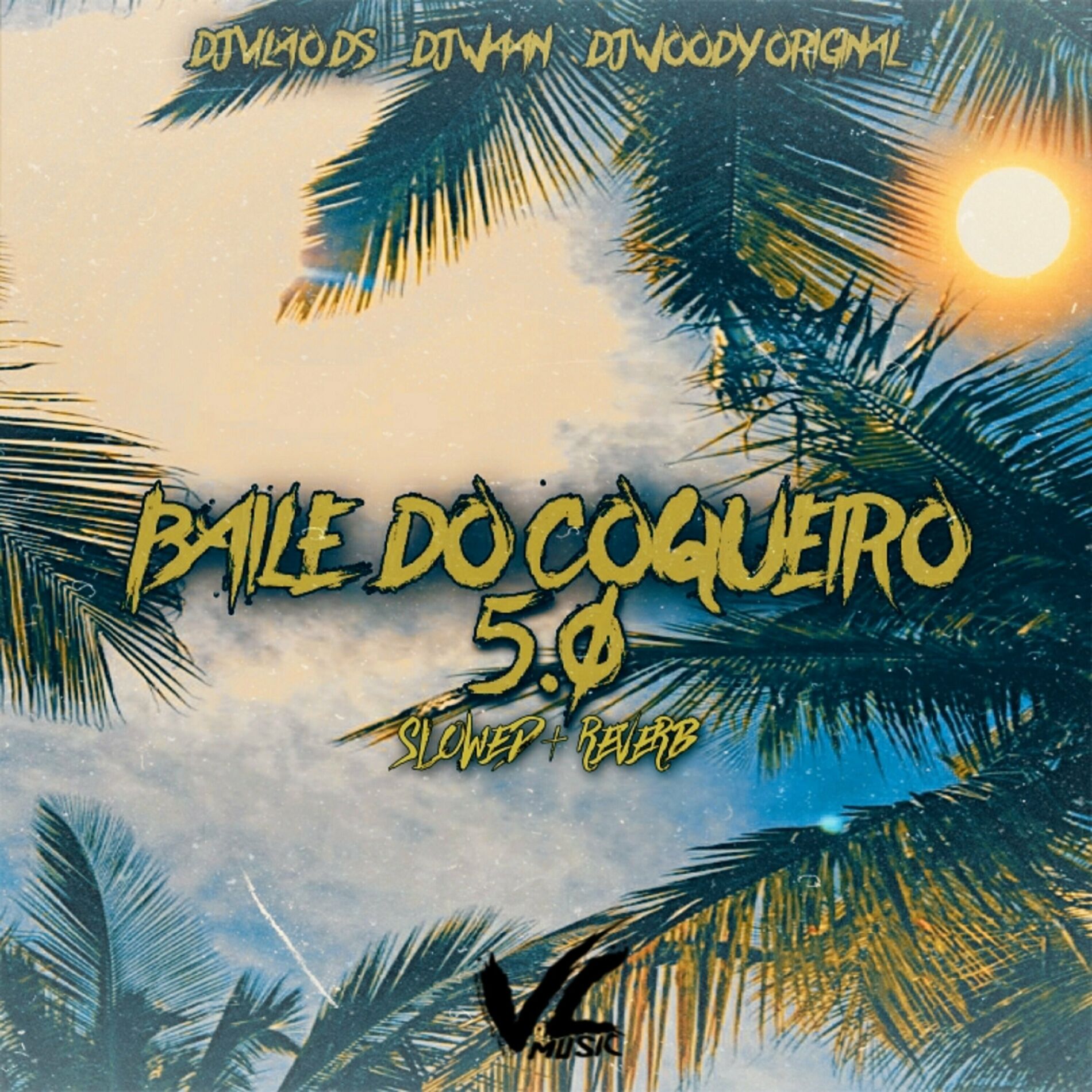 Album cover of Baile do Coqueiro 5. 0 [Slowed Reverb]