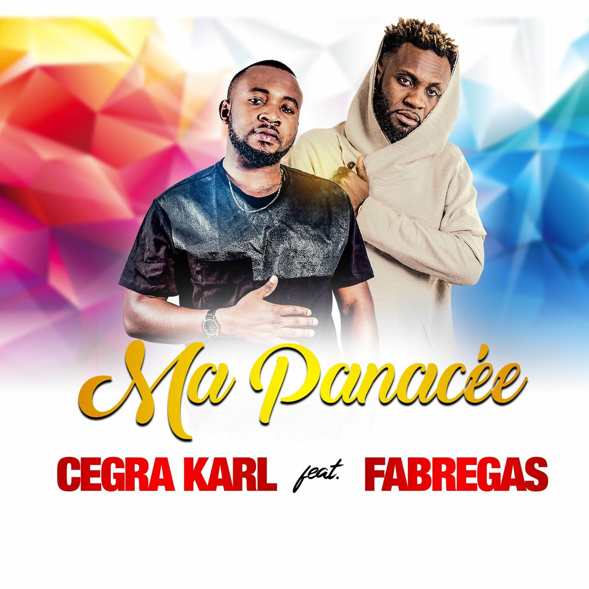 Album cover of Ma panacée