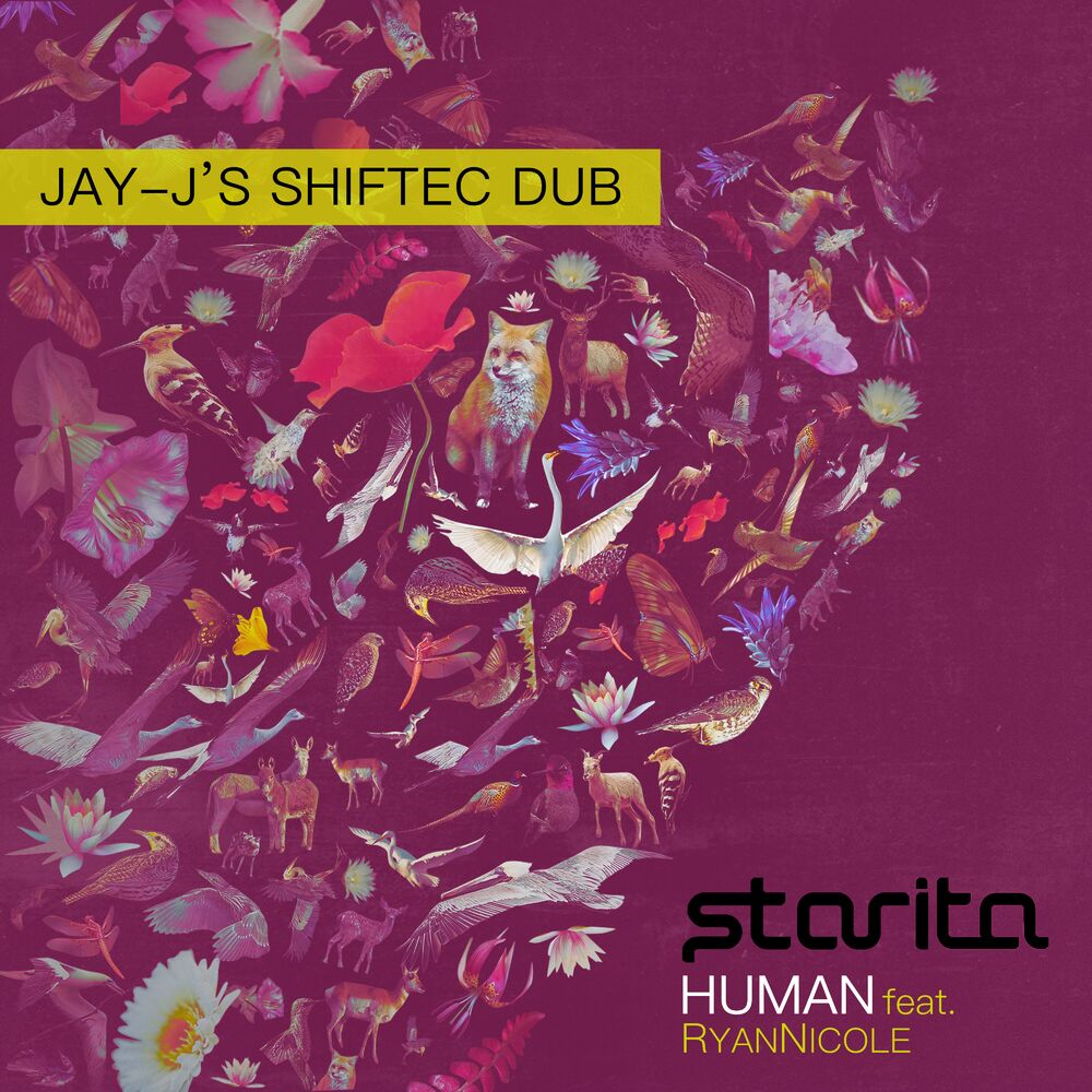 Picture of Human (Jay-J's Shiftec Dub Remix)