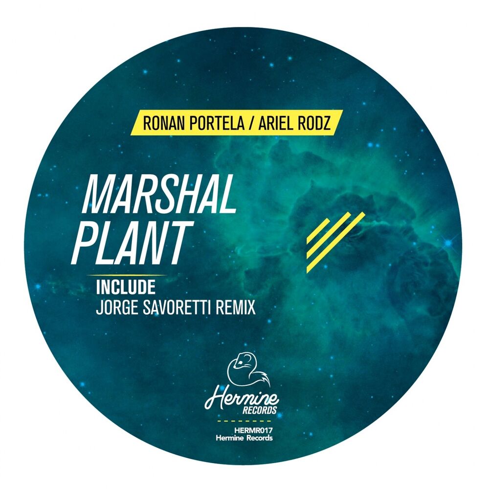 Picture of Marshal Plant