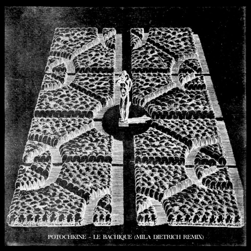 Picture of Le Bachique (Mila Dietrich remix)