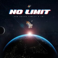 Cover of No Limit