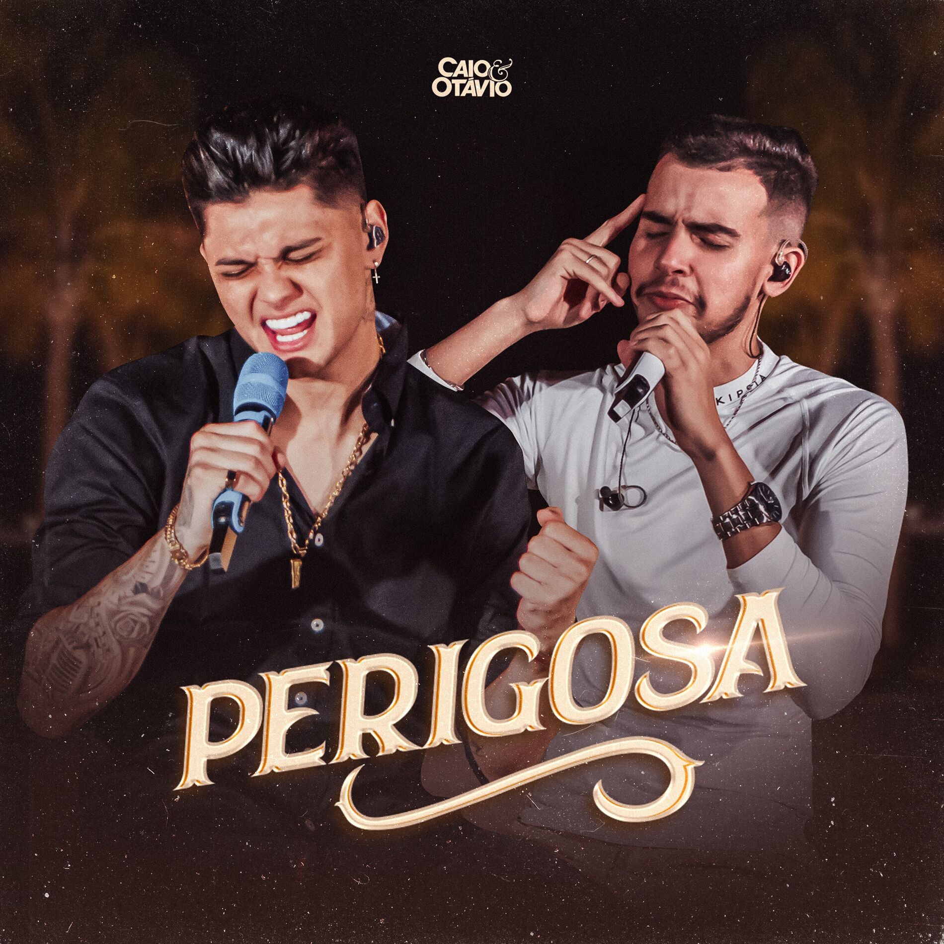 Album cover of Perigosa