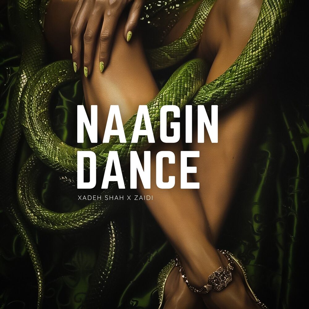 Picture of Naagin Dance