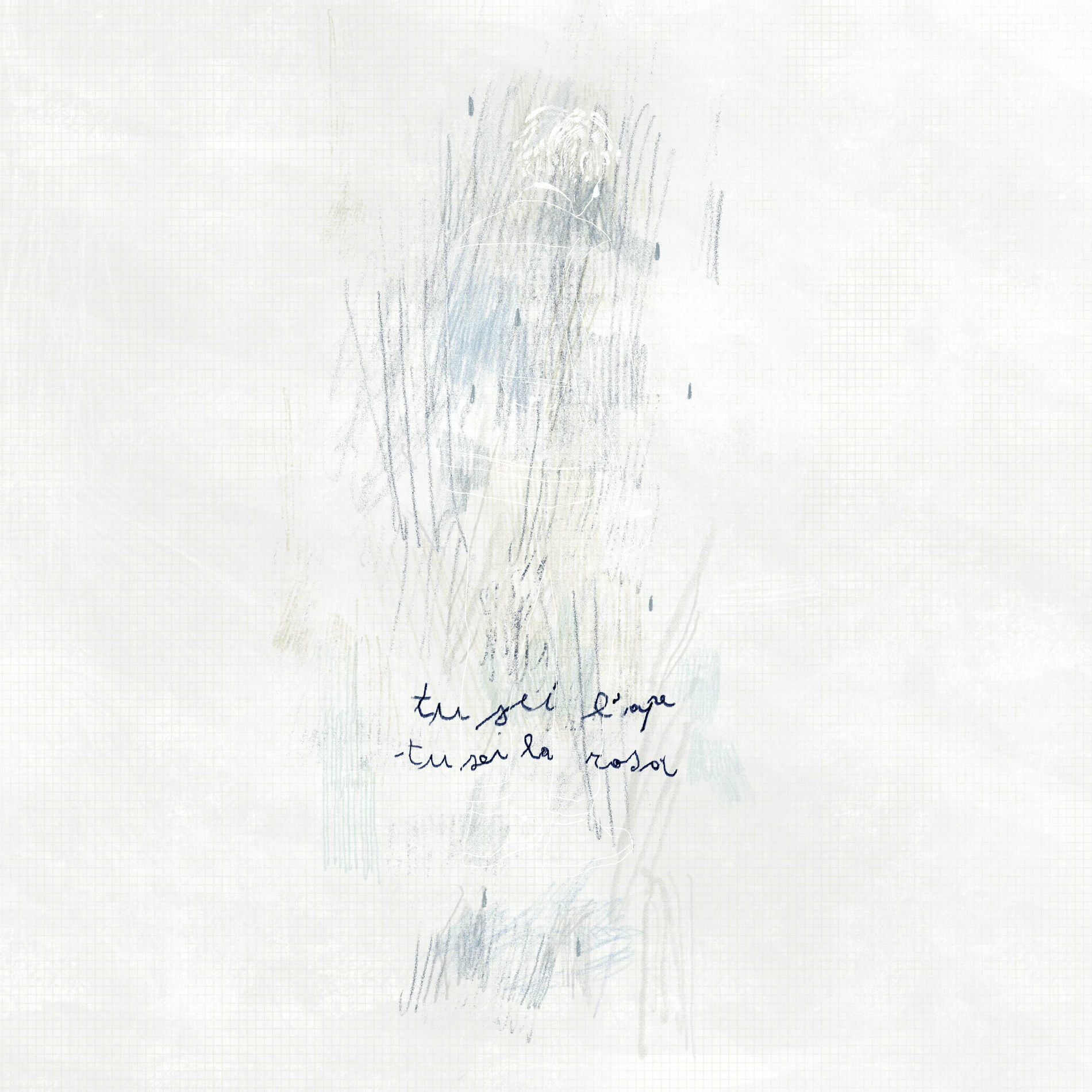Album cover of tu sei l'ape, tu sei la rosa