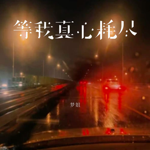 等我真心耗尽